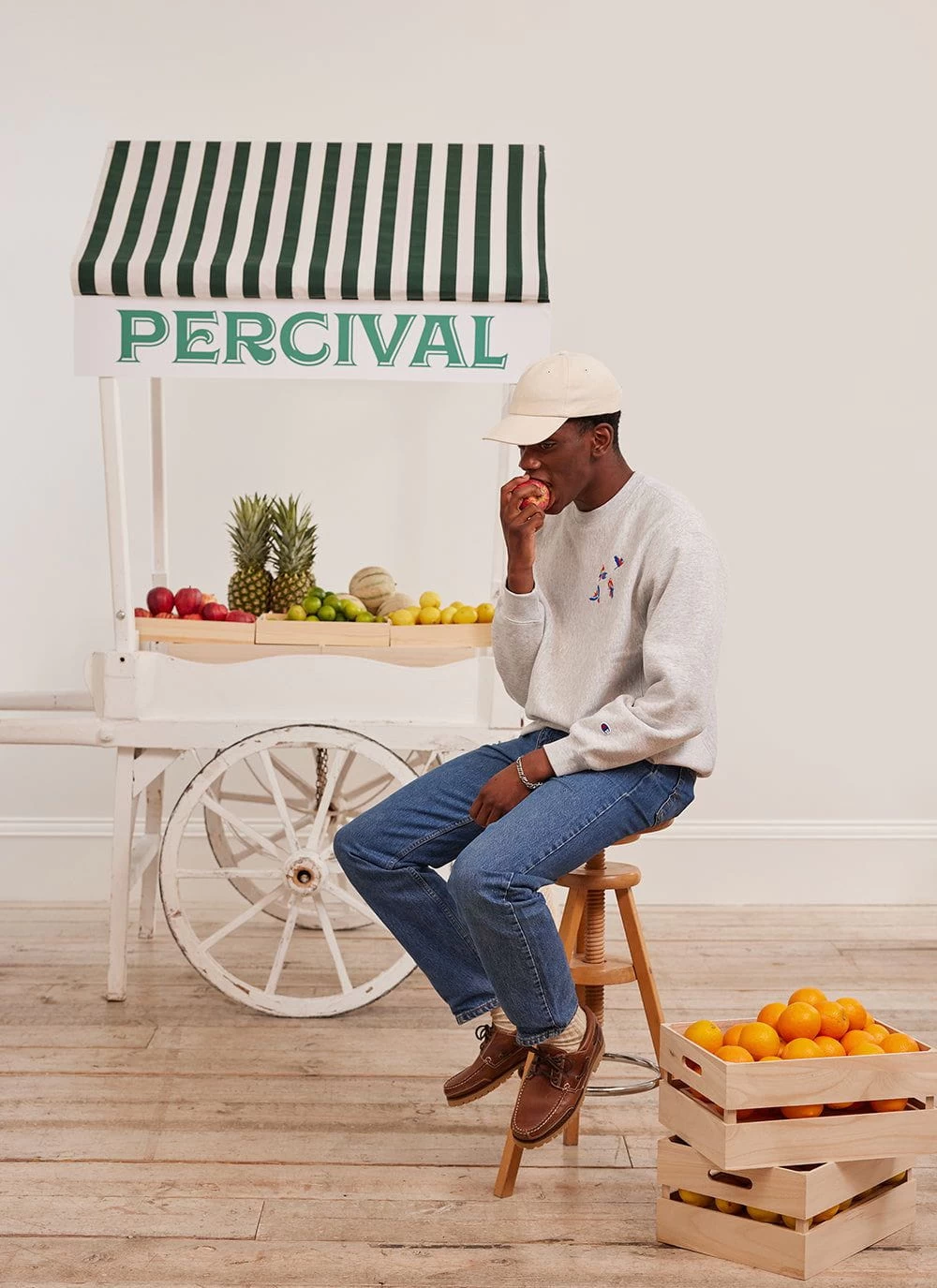 The Menagerie Sweatshirt | Champion And Percival | Heather Grey 5 The Menagerie Sweatshirt | Champion And Percival | Heather Grey - Image 4