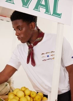 Rare Fish T Shirt | Champion And Percival | Ecru -Urban Wear Shop PERCIVAL MENSWEAR CHAMPION POST RARE FISH ECRU T9