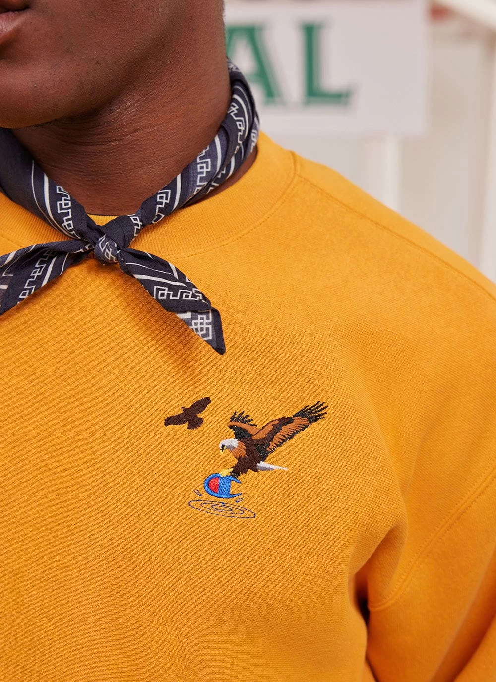 Swooping Eagle Sweatshirt | Champion And Percival | Ochre 3 Swooping Eagle Sweatshirt | Champion And Percival | Ochre